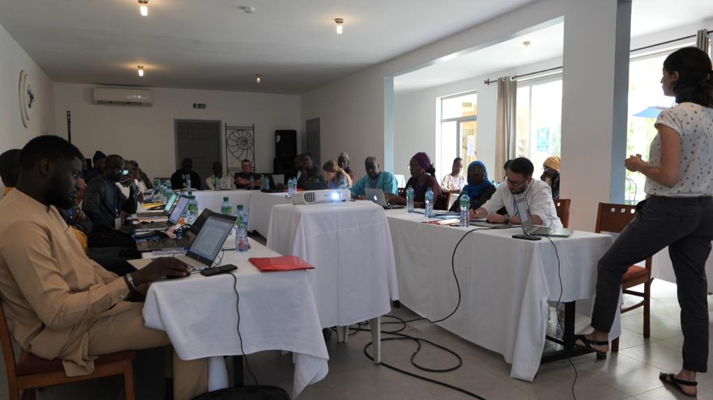Second workshop Senegal river basin with local stakeholders 